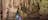 Cutta Cutta Caves