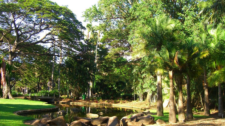 10-George Brown Botanic Gardens