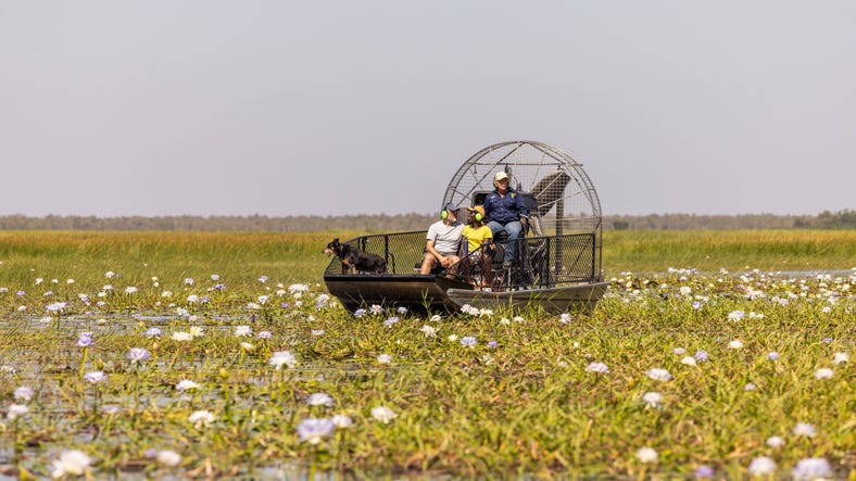 Airboat tour Finniss river