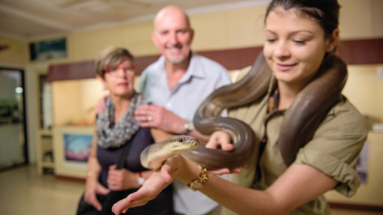 Guide holding a snake Alice Springs Reptile Park