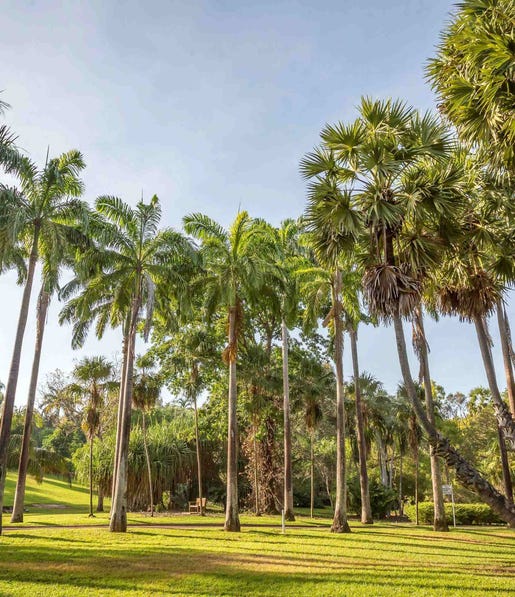 George Brown Botanic Gardens in Darwin