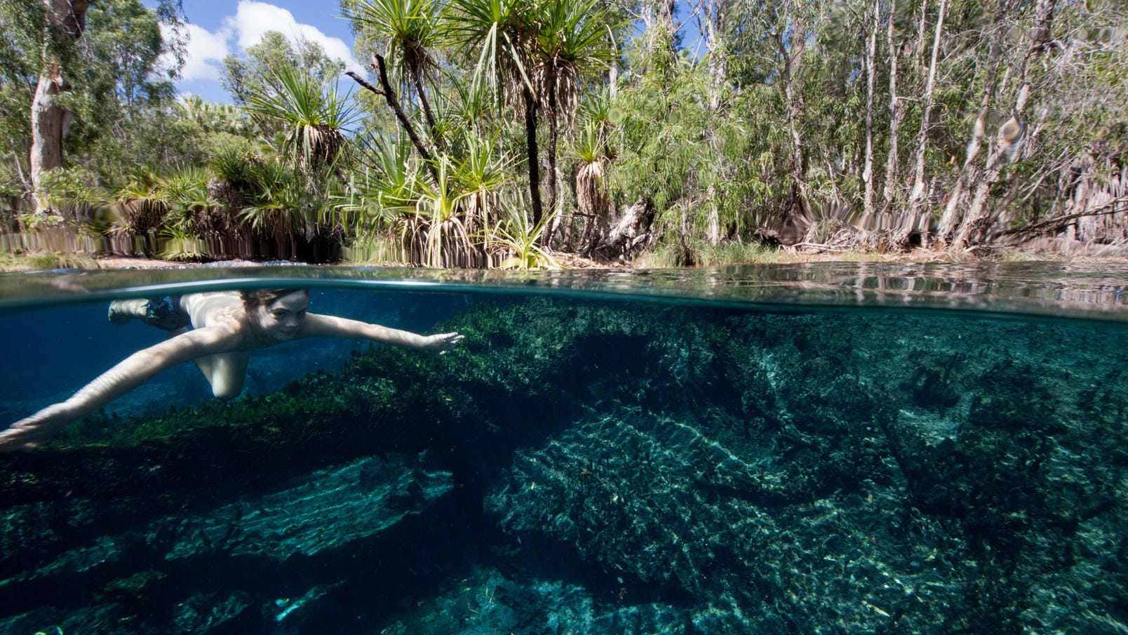 6-child swimming at bitter springs near katherine,-d-,jpg