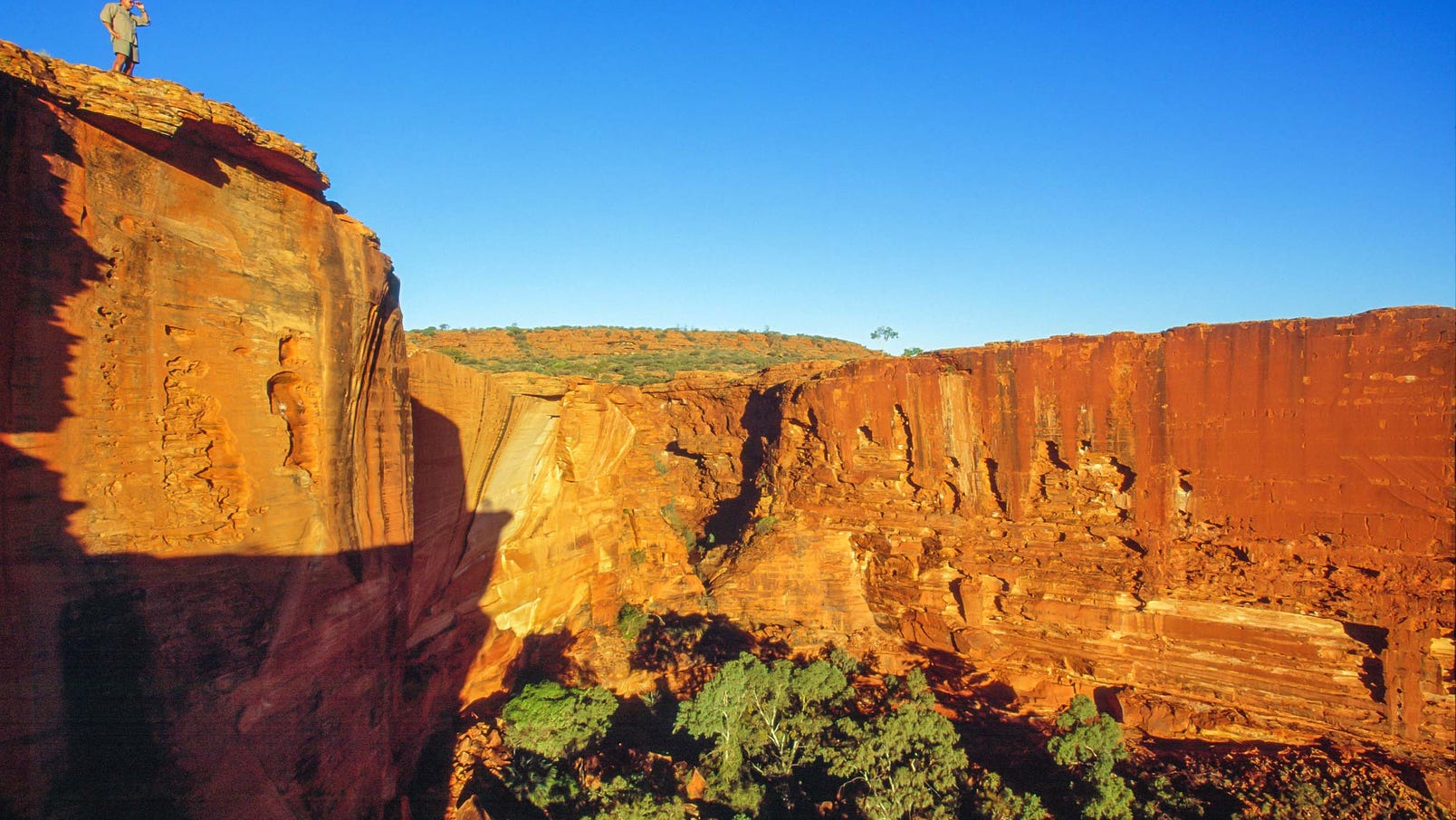 1-A Man looking into Kings Canyon
