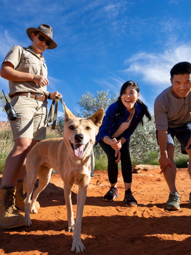 discovering wildlife at alice springs desert park